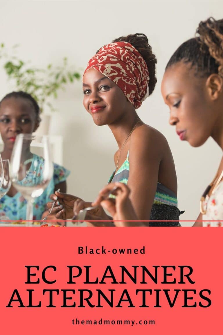 17+ Erin Condren Alternatives for Planner Addicts