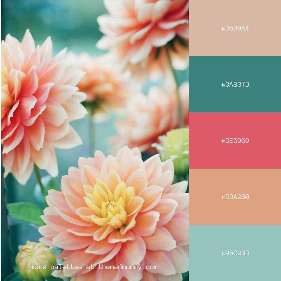 19 Color Palettes for Your Blog or Business