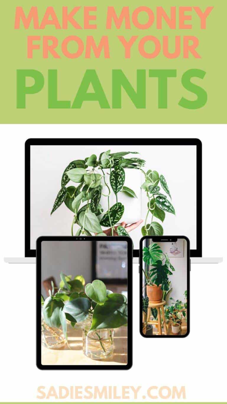 How to Make Money With Plants