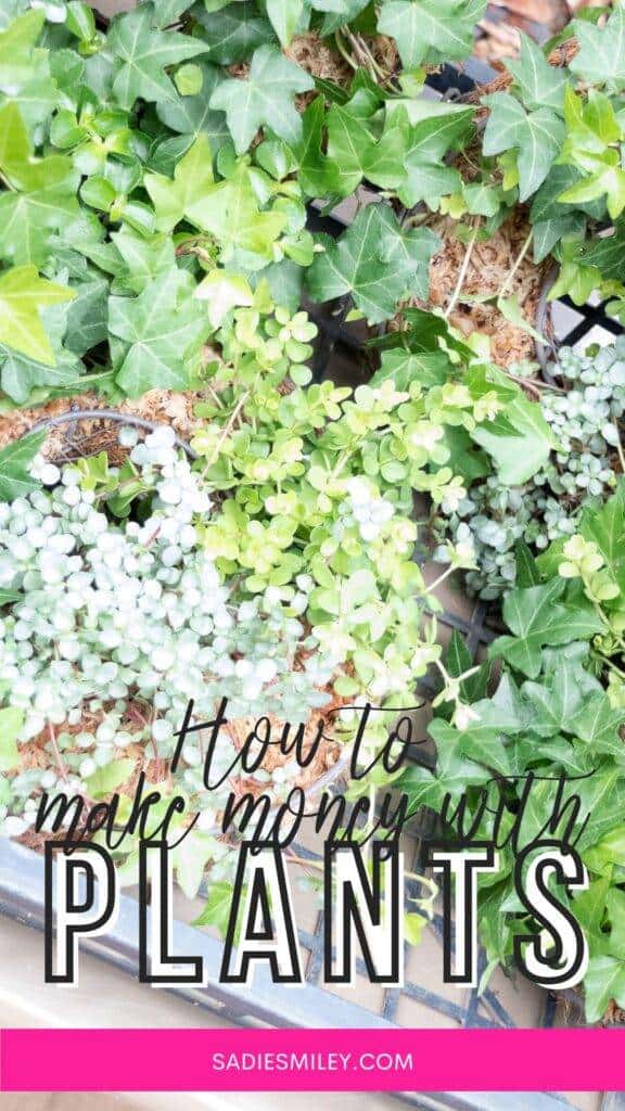 How to Make Money With Plants Sadie Smiley
