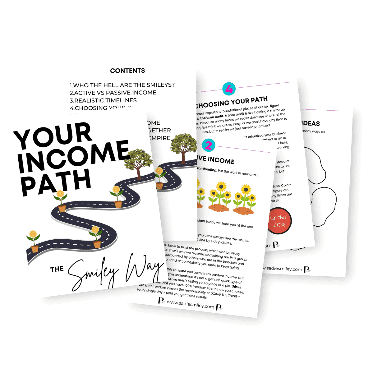 Your Income Path the Smiley Way